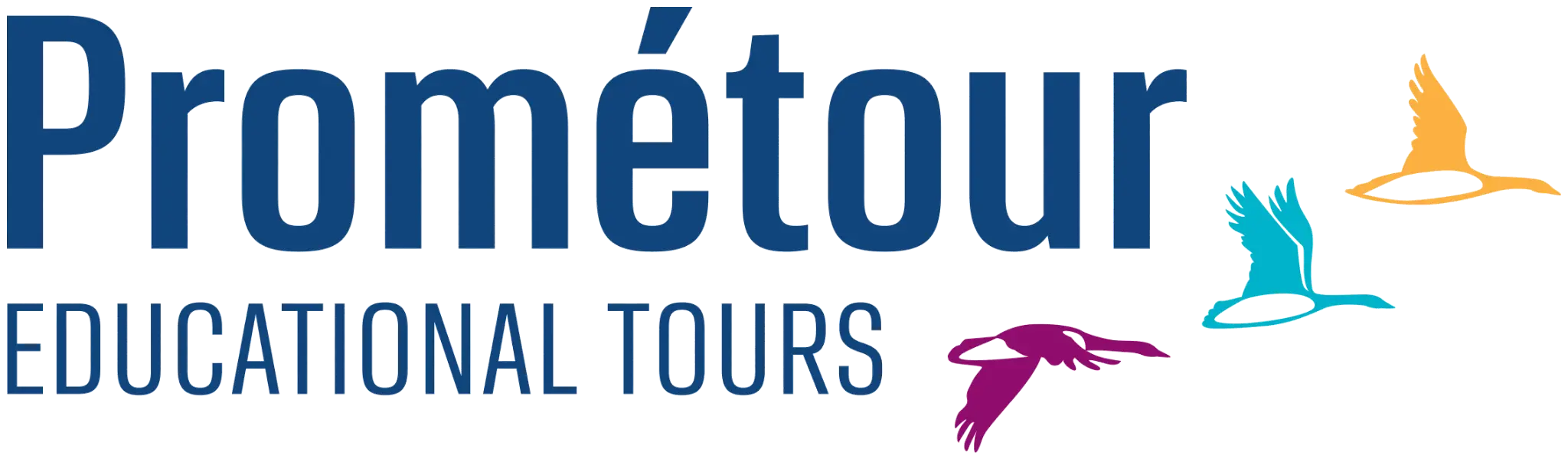Logo Prometour